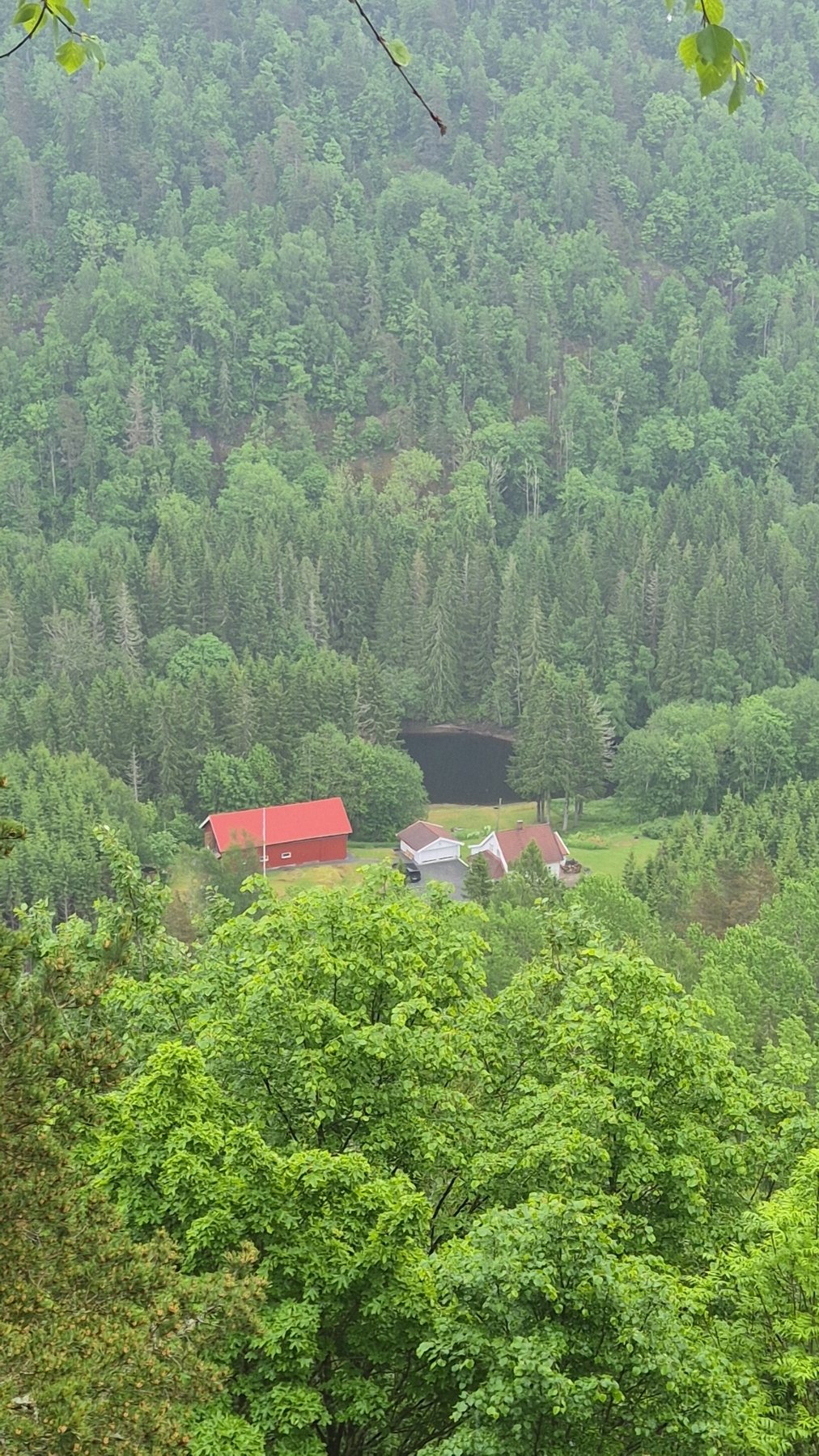 Utsikt ned mot Nygård og vannet fra turmålet