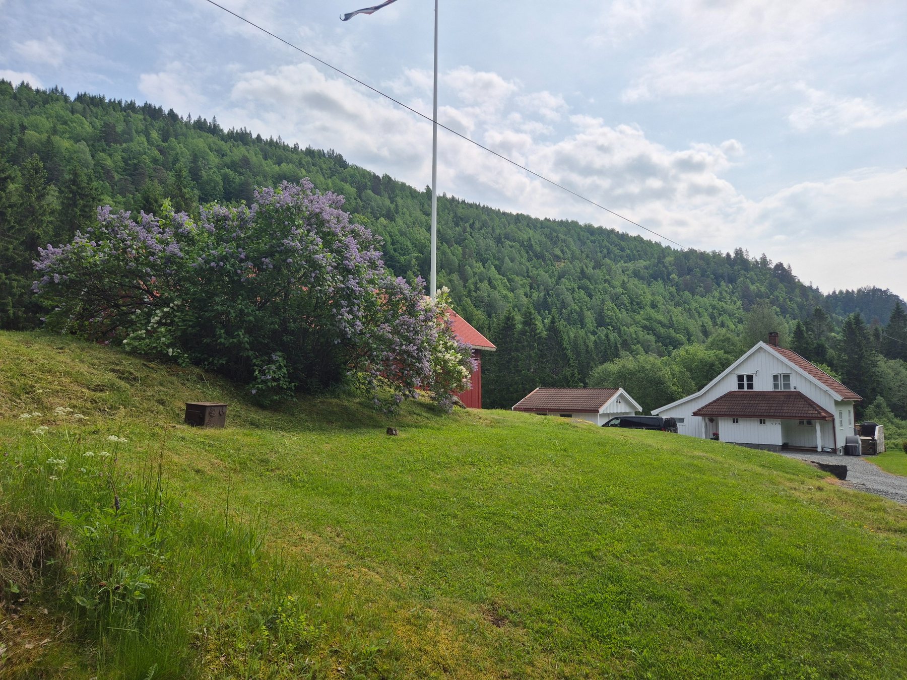 Tunet på Nygård med blomstrende syrin og skog rundt