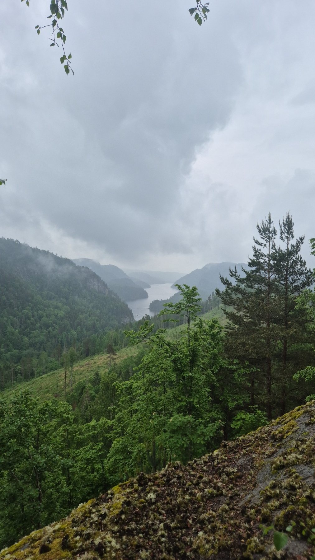 Utsikt over Farrisvannet fra turen