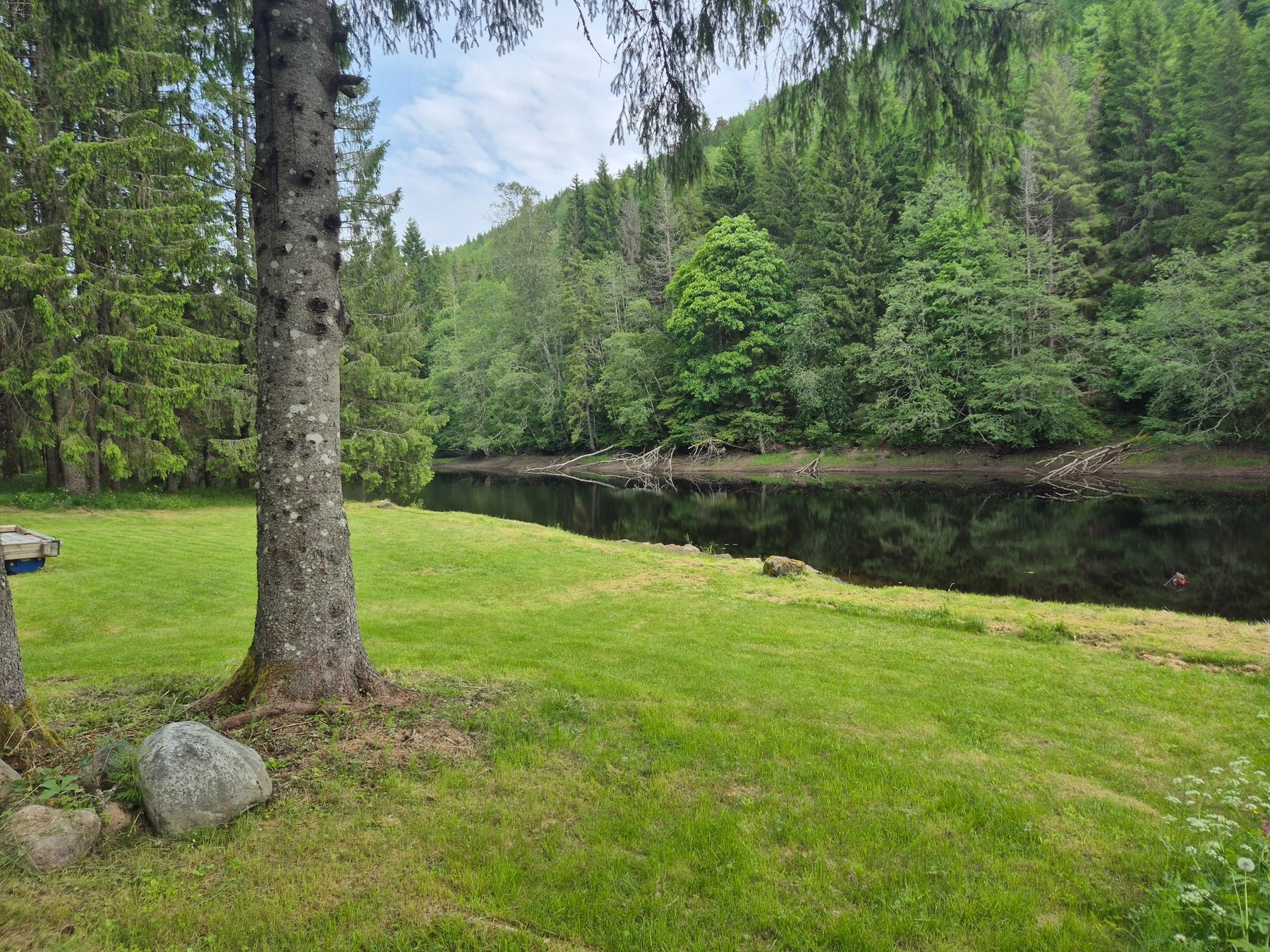 Plenen og vannet nedenfor Nygård